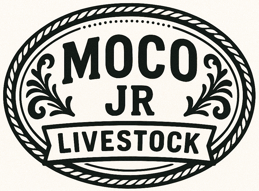 MOCO